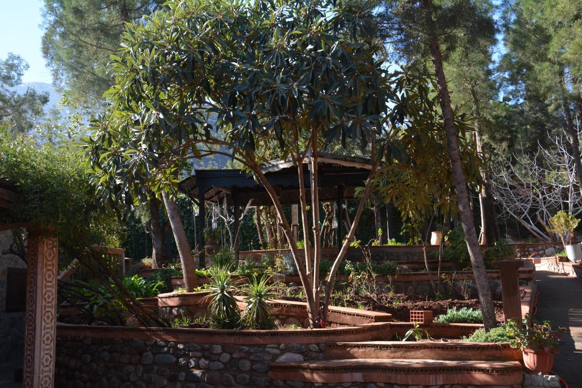 Dar Arraha Ouirgane Otel Dış mekan fotoğraf