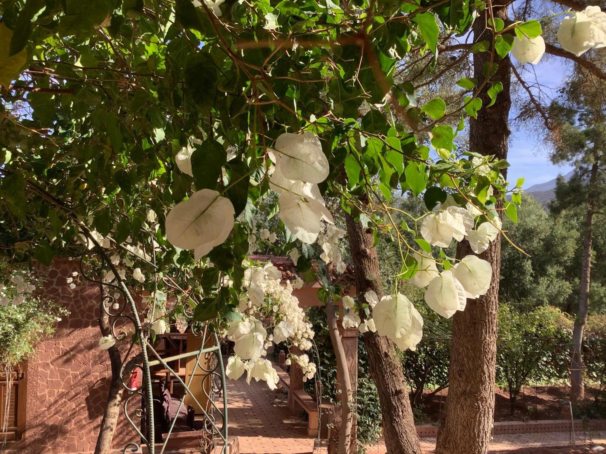 Dar Arraha Ouirgane Otel Dış mekan fotoğraf